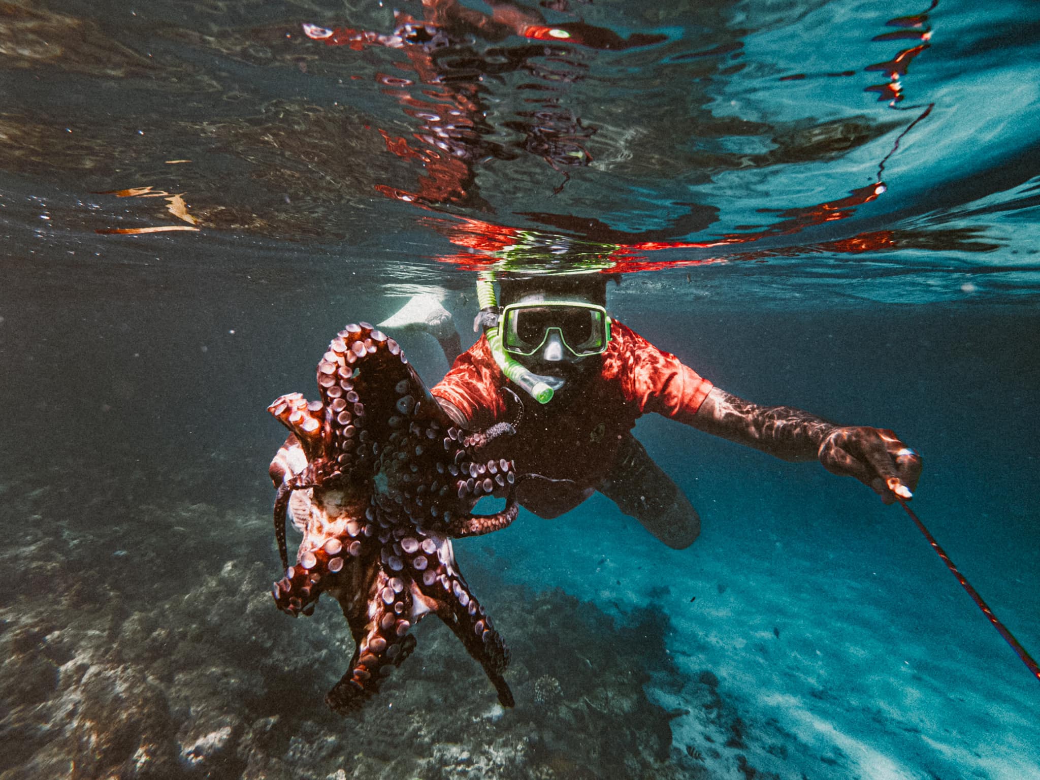 Rising Tide Expedition