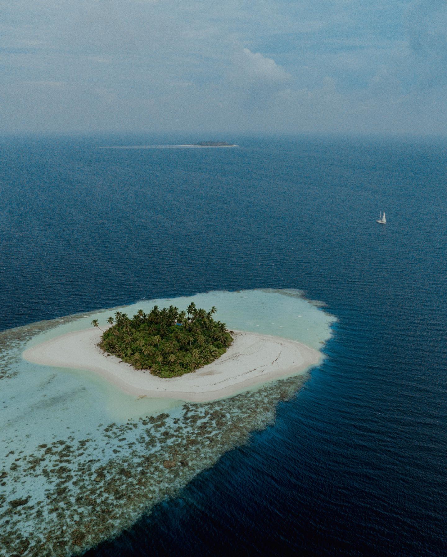Coral Line Expedition