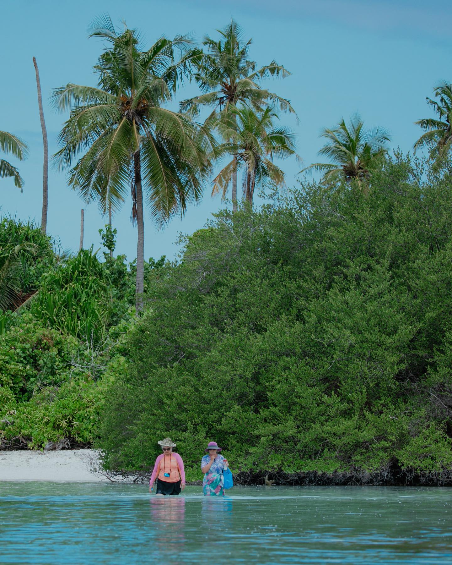 Open Water Expedition