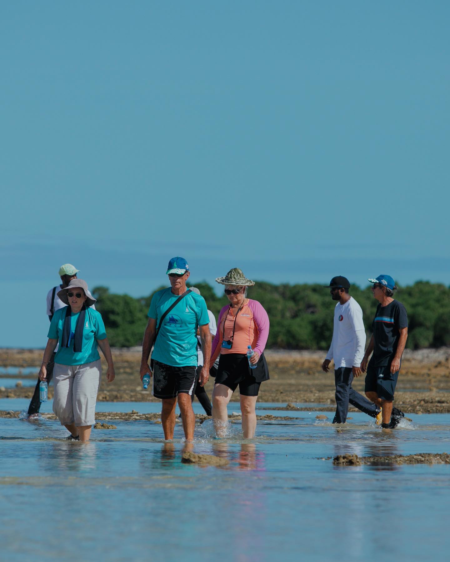 Sunline Expedition