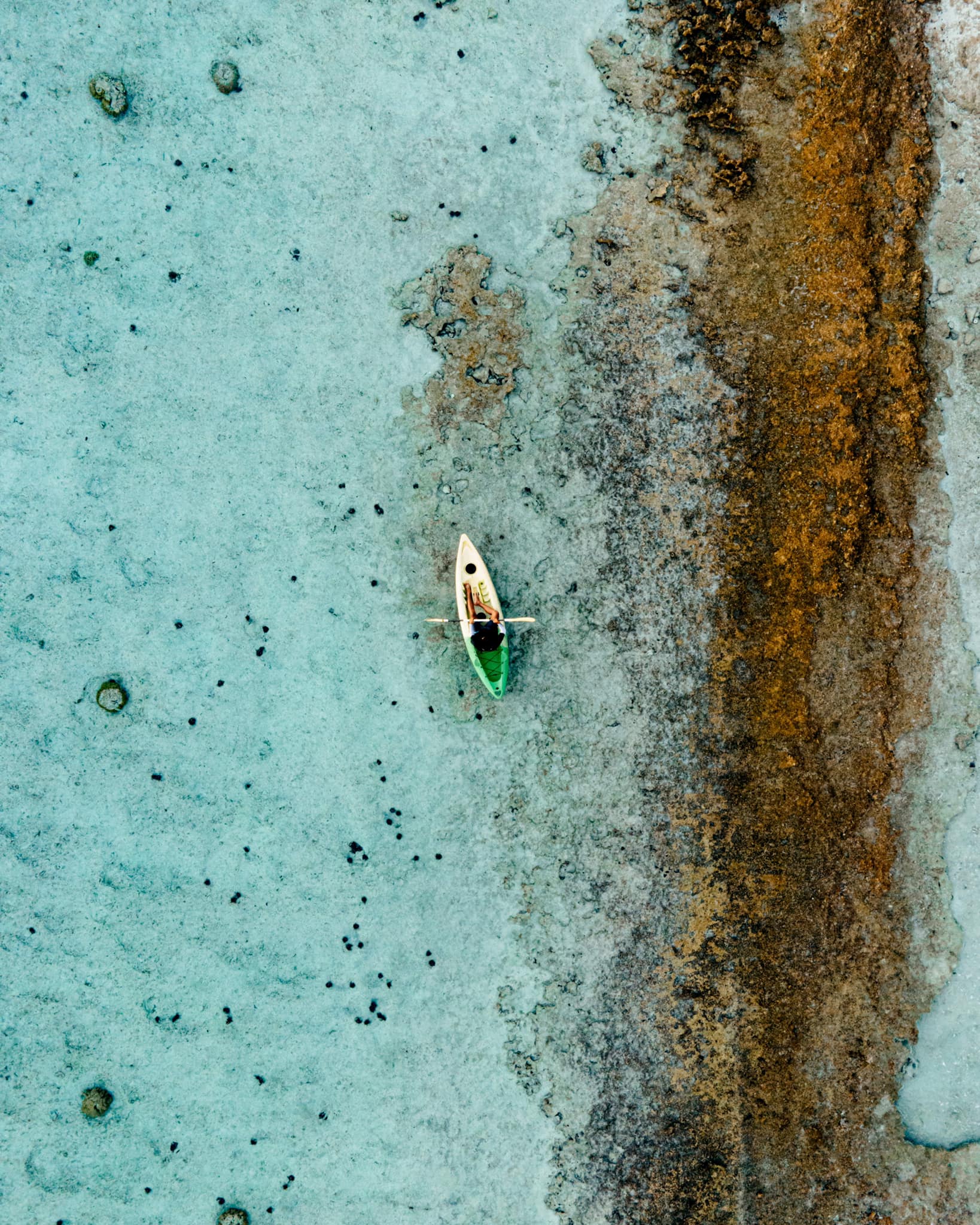 Rising Tide Expedition