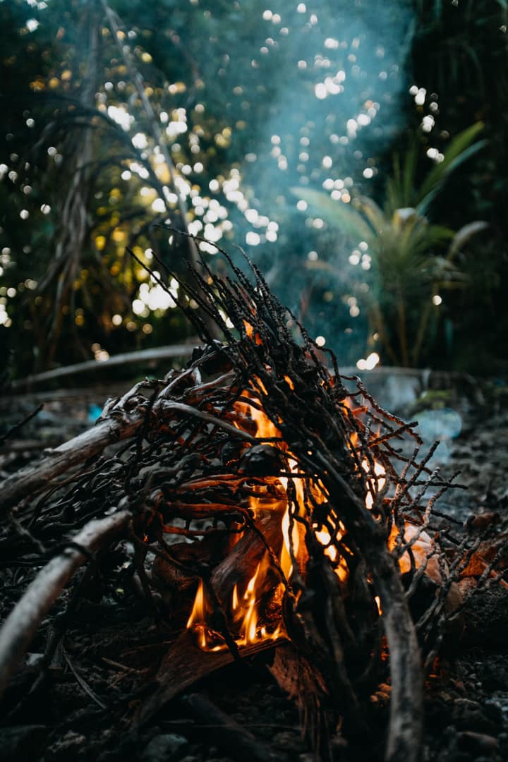 Wilderness Medicine