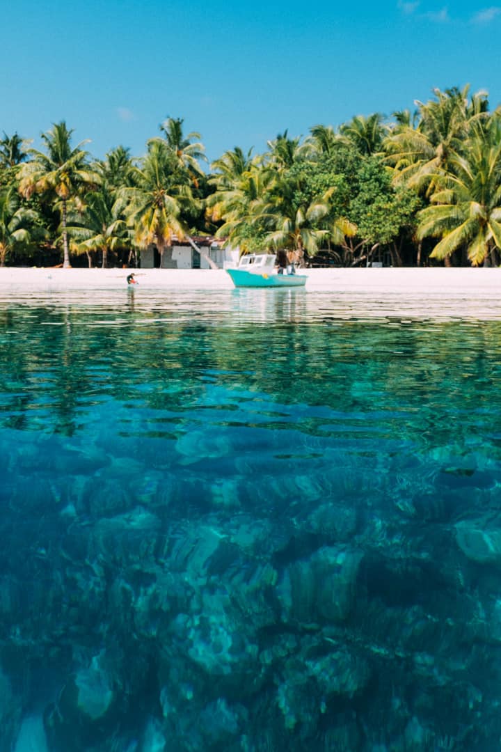 Coral Line Expedition