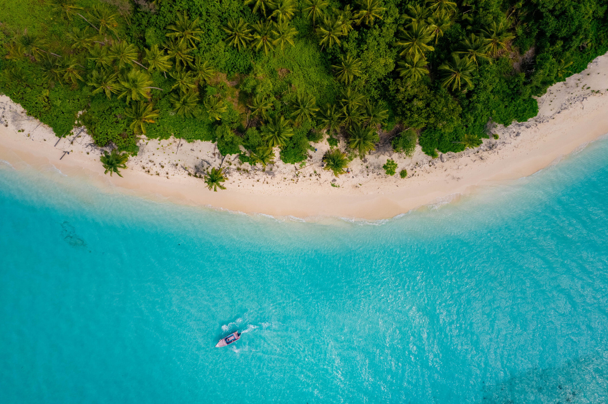 Desert island survival training on beach
