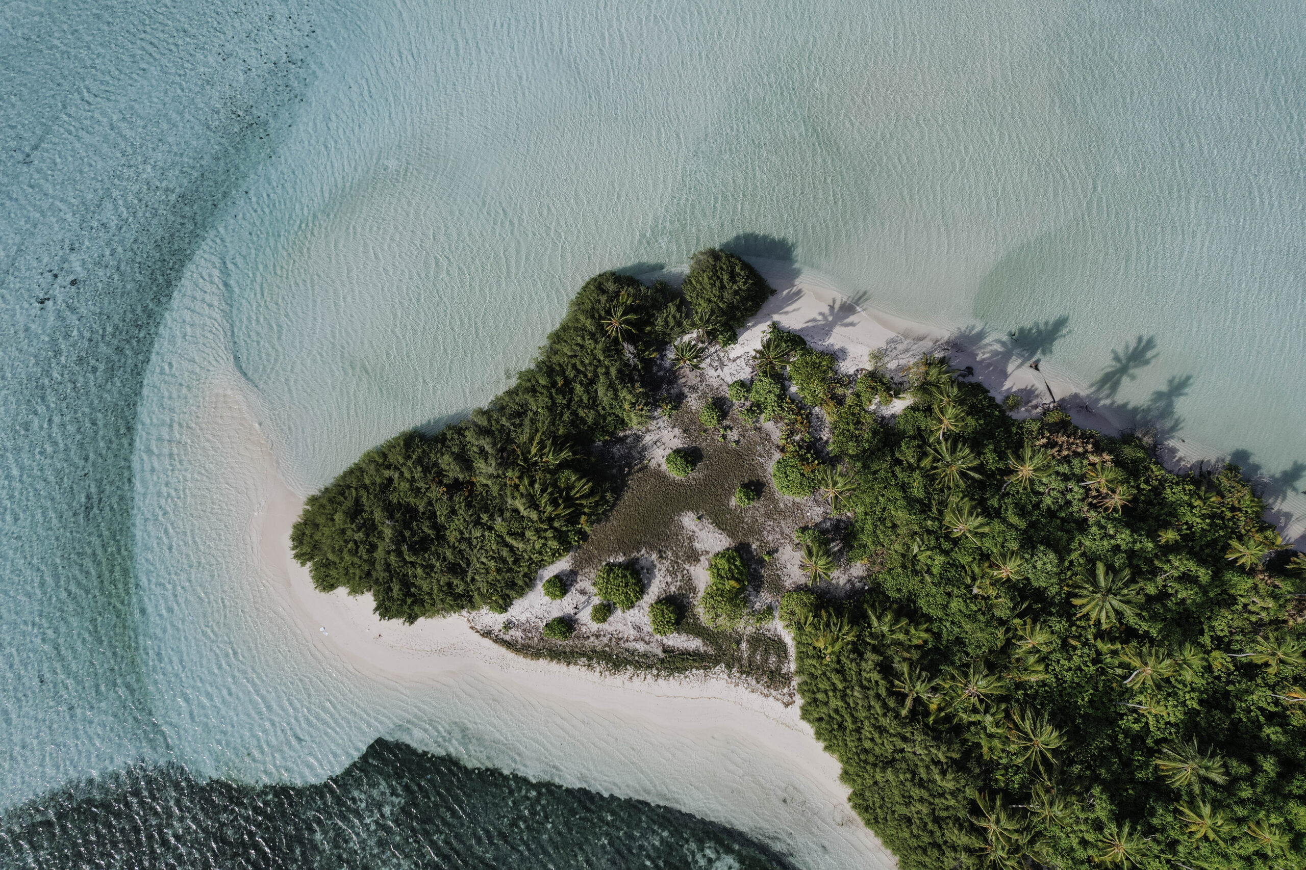 Coral Line Expedition