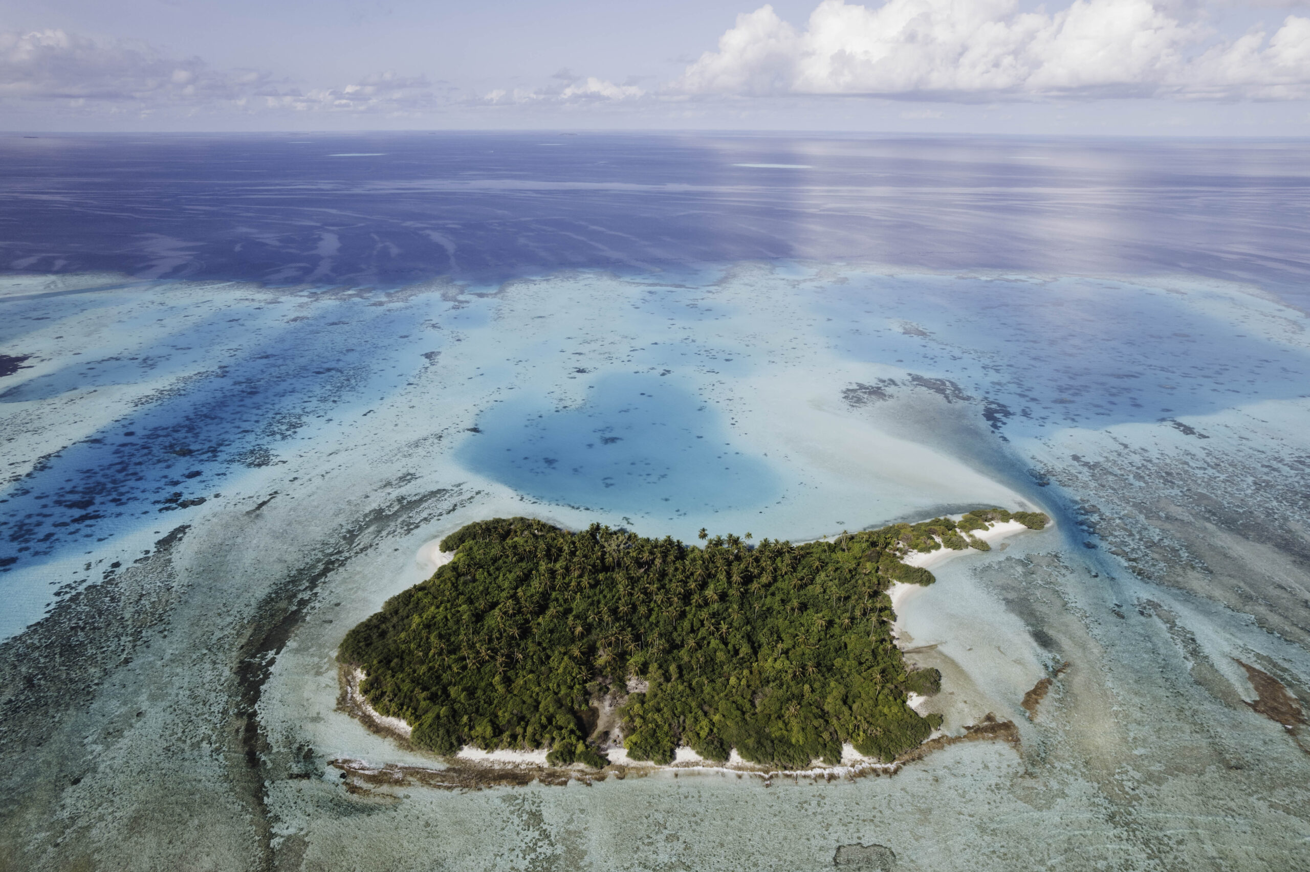 Coral Line Expedition