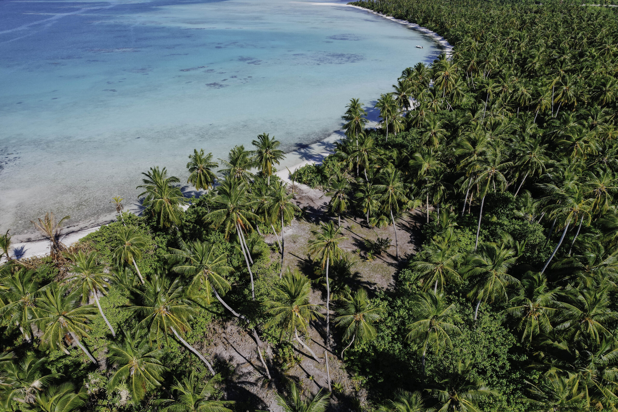 Coral Line Expedition