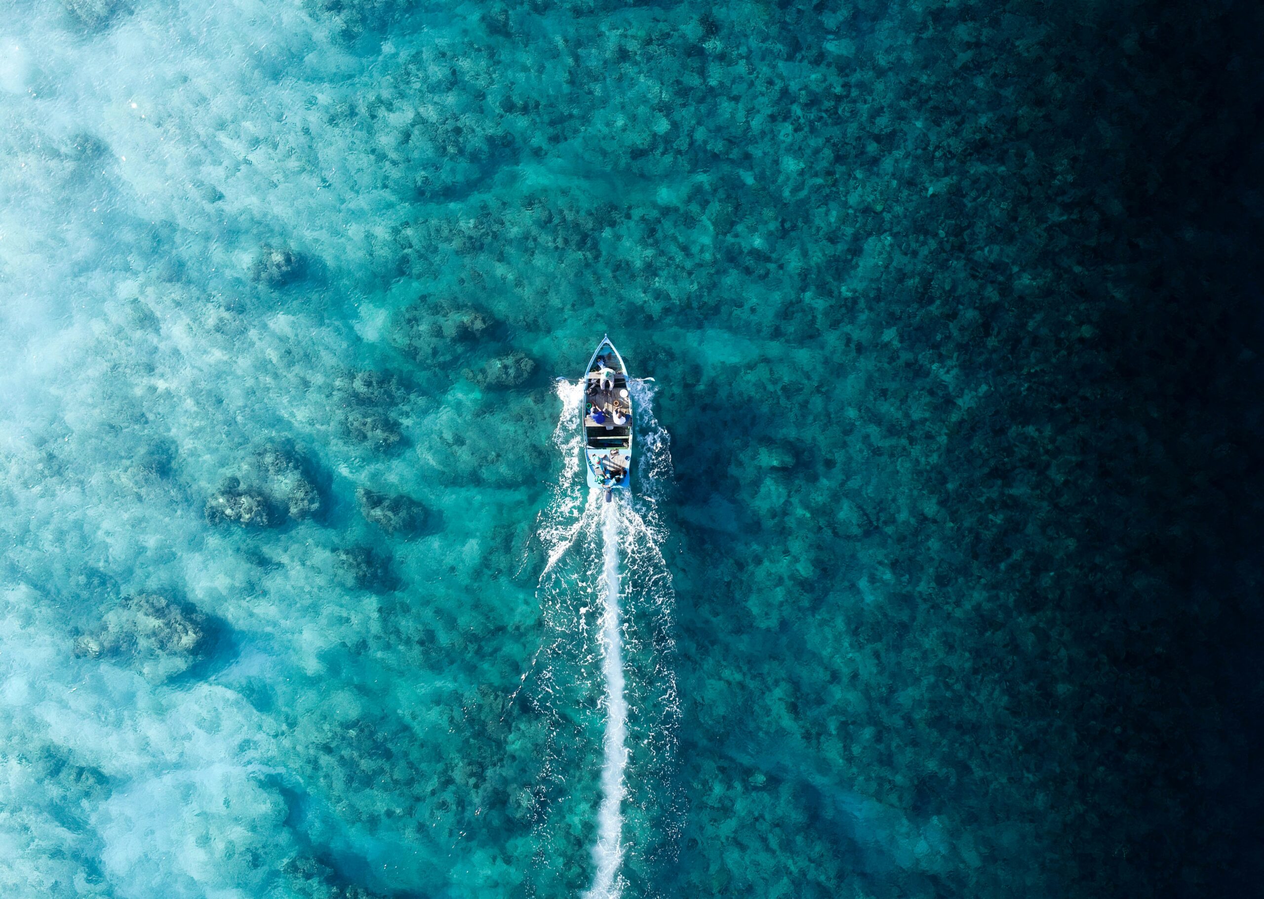 Extraction