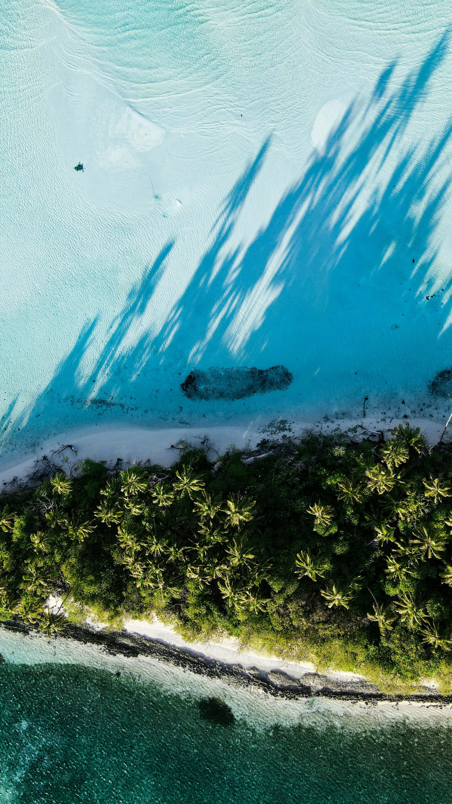 Coral Line Expedition