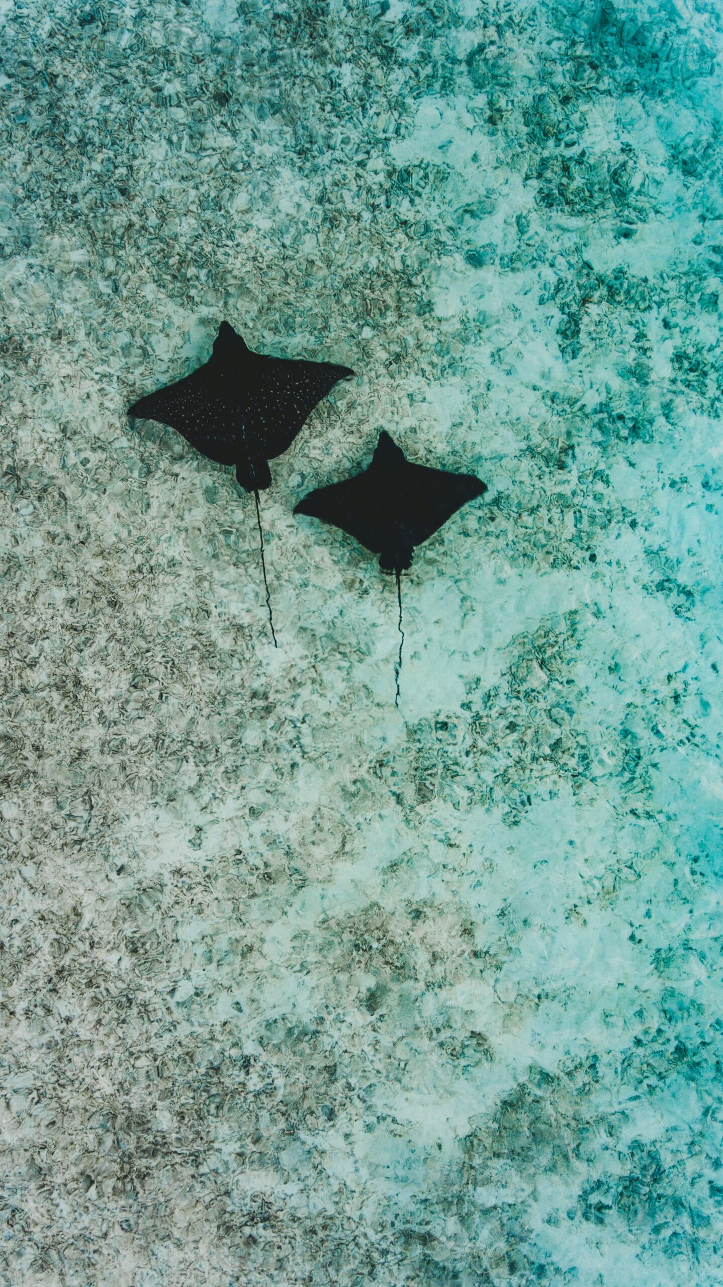 Open Water Expedition