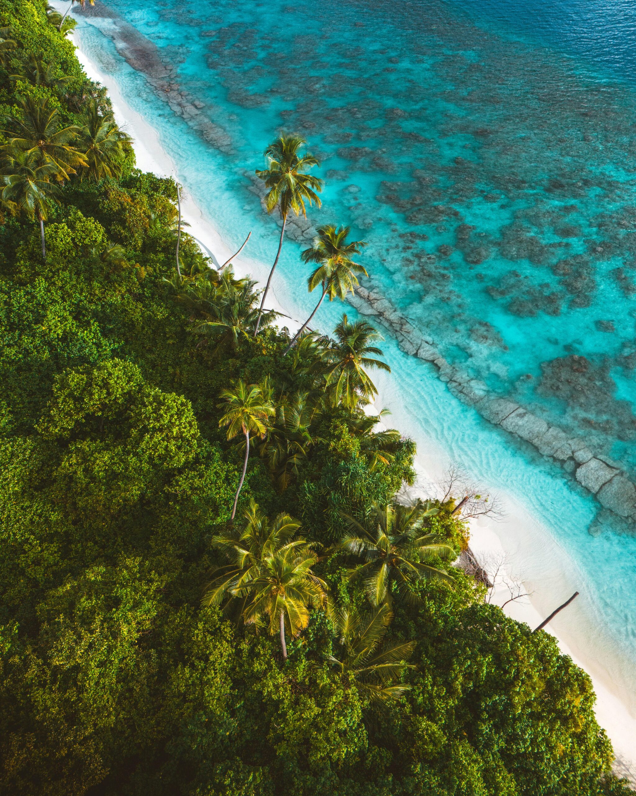 Maldivian atolls aerial