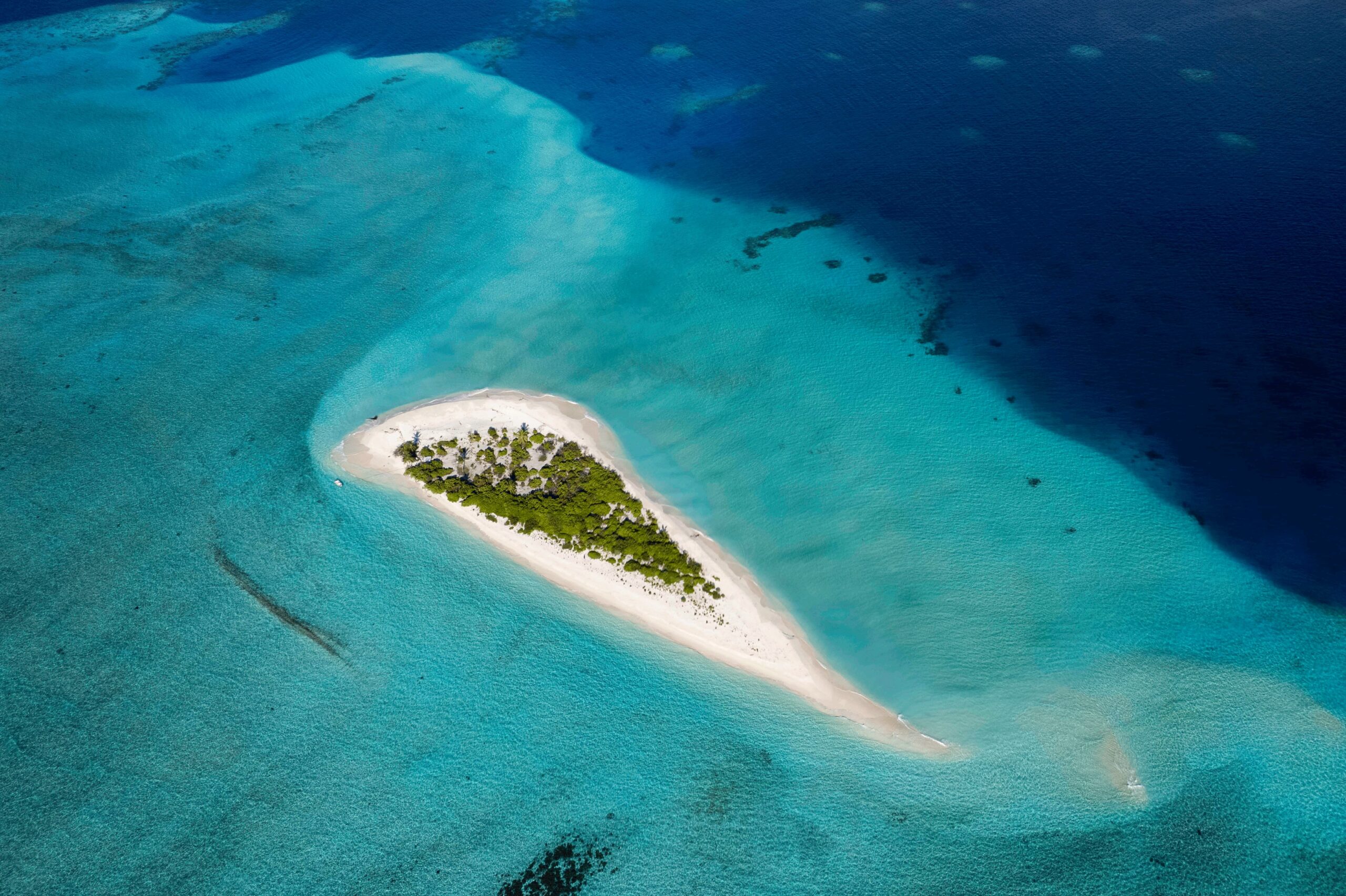 Desert island survival experience remote island cinematic